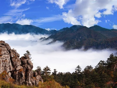 济南神农架：秘境之旅，云海奇观，草原牧歌，探寻世外桃源